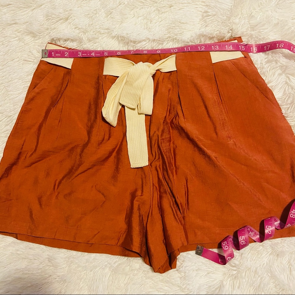 All in Favor Front Tie Pleated Terracotta Shorts - Picture 6 of 8